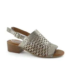 Cabello Alaca Pewter