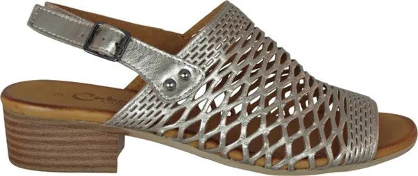 Cabello Alaca Pewter